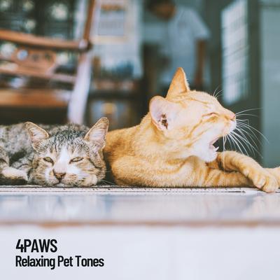 4Paws: Relaxing Pet Tones's cover