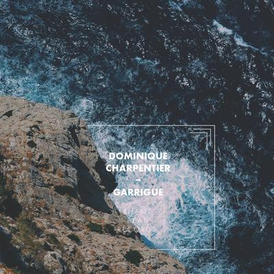 Dans les collines By Dominique Charpentier's cover