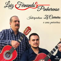 Luiz Fernando & Pinherense's avatar cover