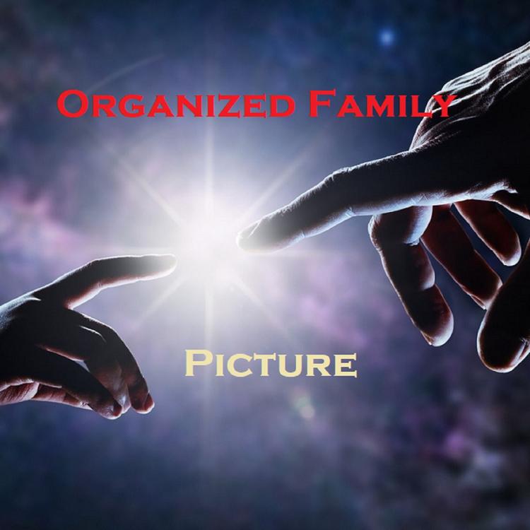 Organized Family's avatar image