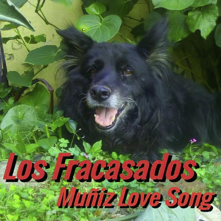Los Fracasados's avatar image