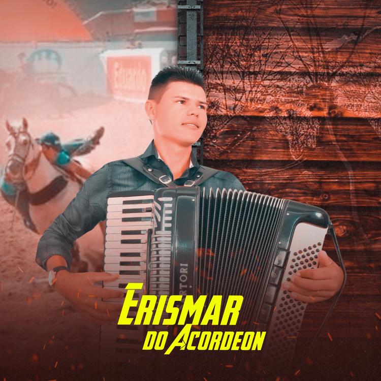 Erismar do Acordeon's avatar image