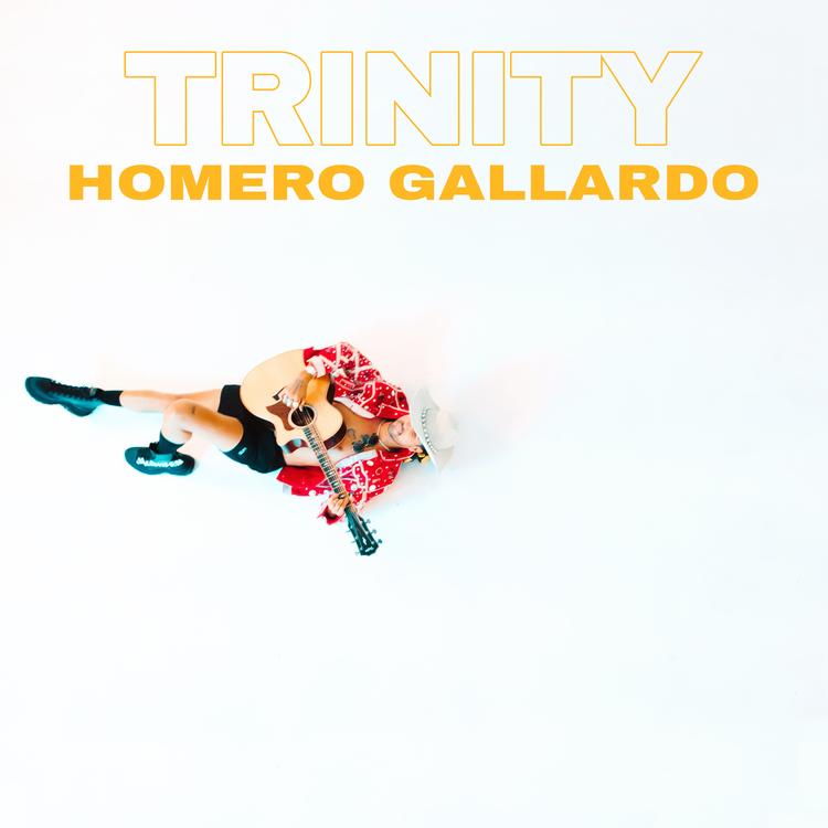 Homero Gallardo's avatar image