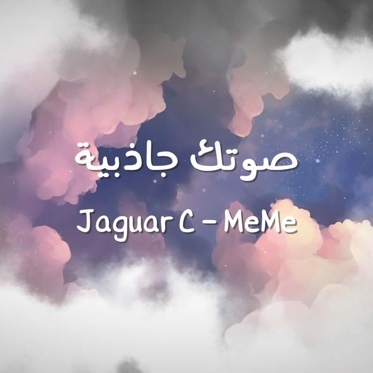 جاجوار سي و ميمي's avatar image