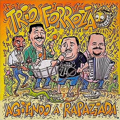Numa Sala de Reboco By Trio Forrozão's cover
