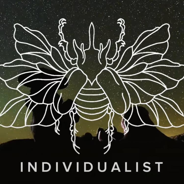 Individualist's avatar image