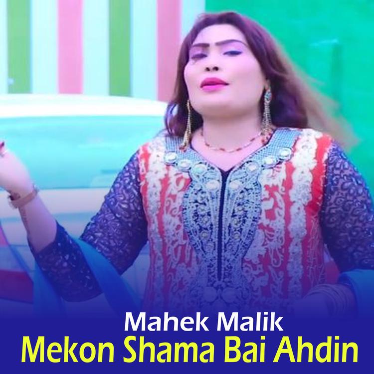 Mahek Malik's avatar image