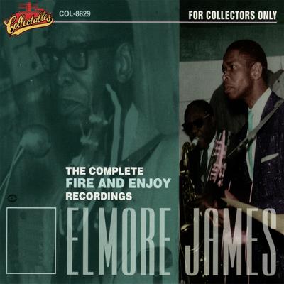 Dust My Broom By Elmore James's cover