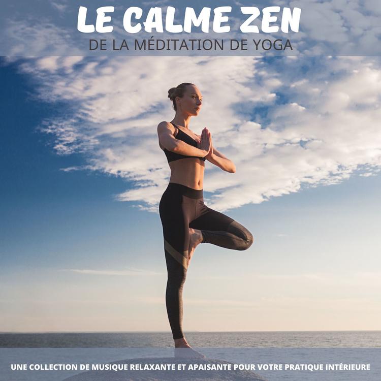 Musique pour Yoga Maestro's avatar image