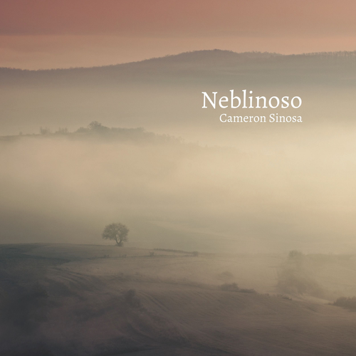 Neblinoso's cover