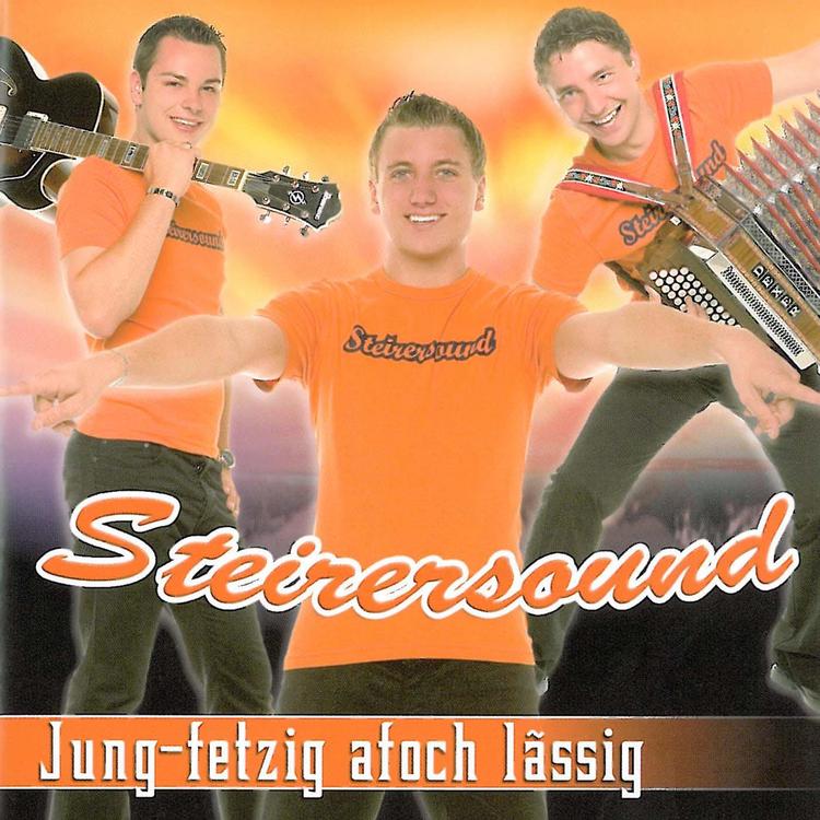 Steirersound - Jung, fetzig afoch lässig's avatar image