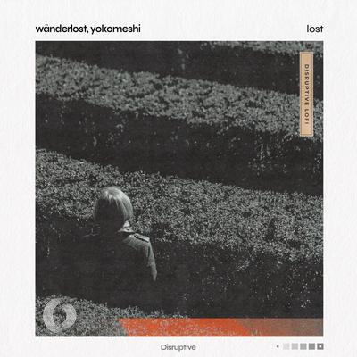 Lost By Wänderlost, Yokomeshi, Disruptive LoFi's cover