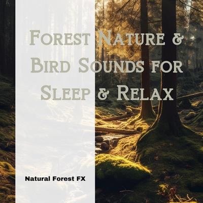 Rainy By Natural Forest FX's cover