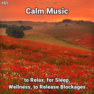 #01 Calm Music to Relax, for Sleep, Wellness, to Release Blockages's cover