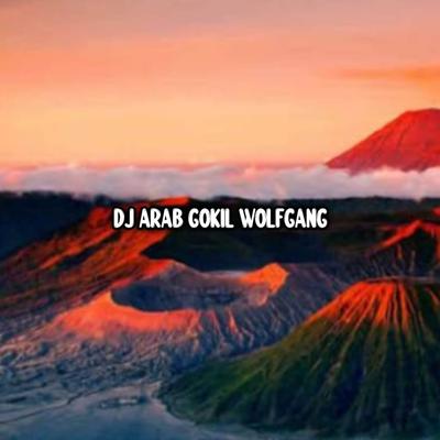 DJ ARAB GOKIL WOLFGANG IS BACK's cover