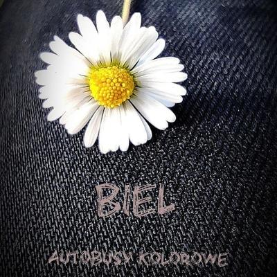 Autobusy kolorowe By BIEL's cover