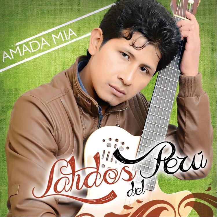 Latidos del Perú's avatar image