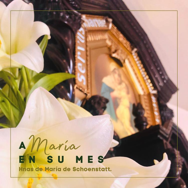 Hnas De María De Schoenstatt's avatar image