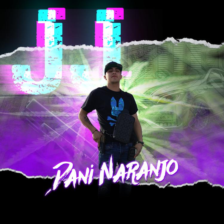 Dani Naranjo's avatar image