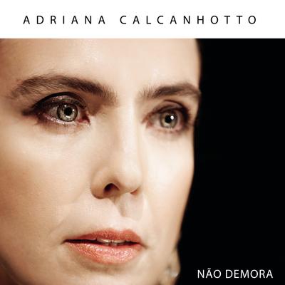 Não Demora By Adriana Calcanhotto's cover