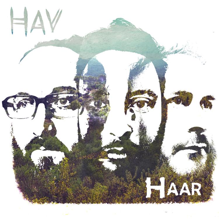 Hav's avatar image