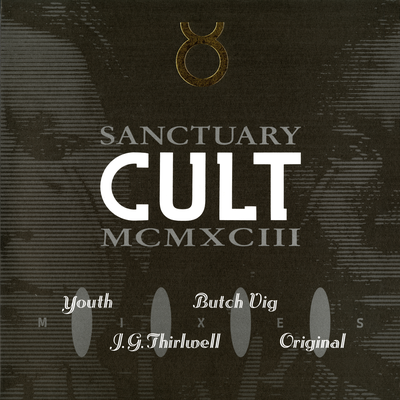 Sanctuary 1993 Mixes's cover
