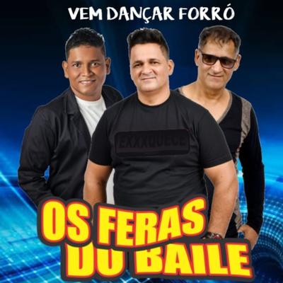 Vem Dançar Forró's cover