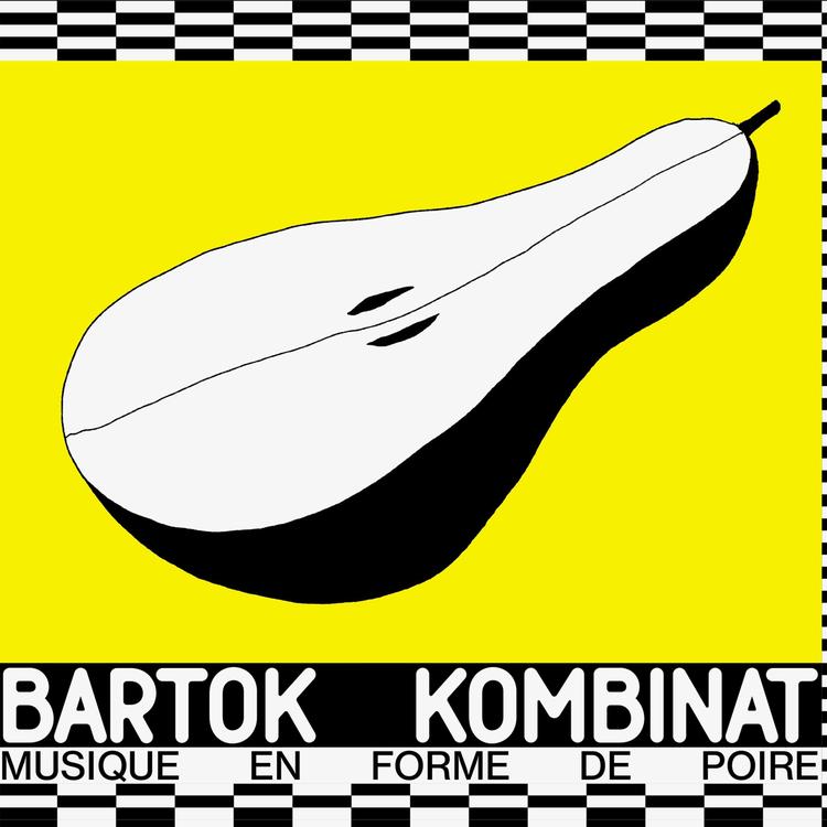 Bartók Kombinat's avatar image