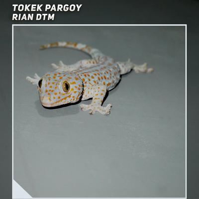 Tokek Pargoy's cover