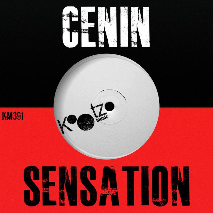 CENIN's avatar image