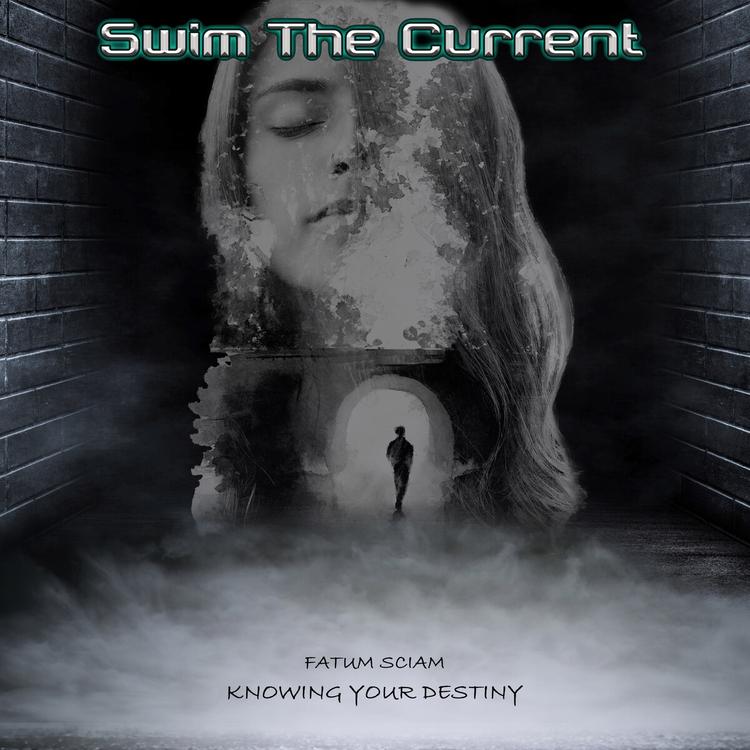 Swim The Current's avatar image