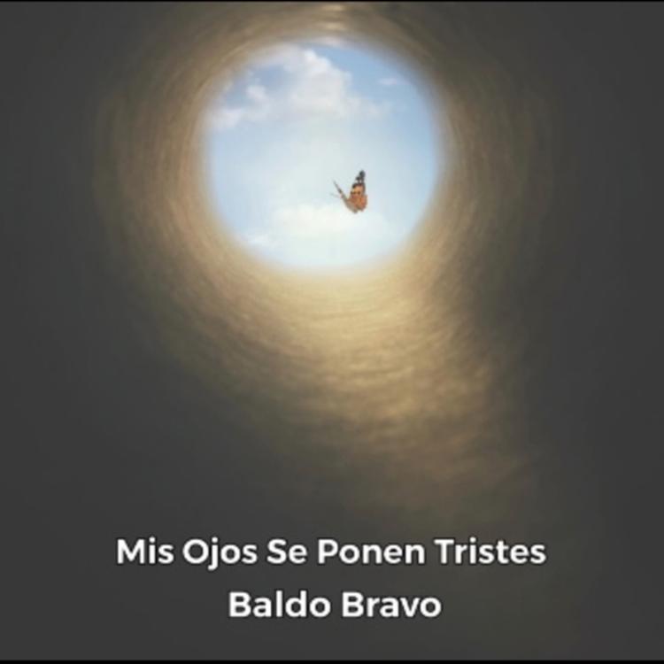 Baldo Bravo's avatar image