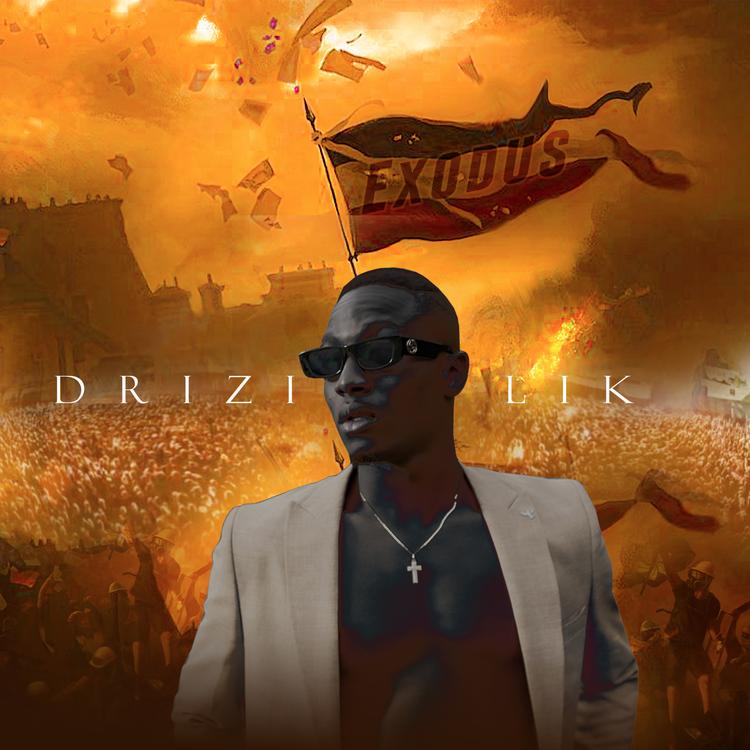 Drizilik's avatar image