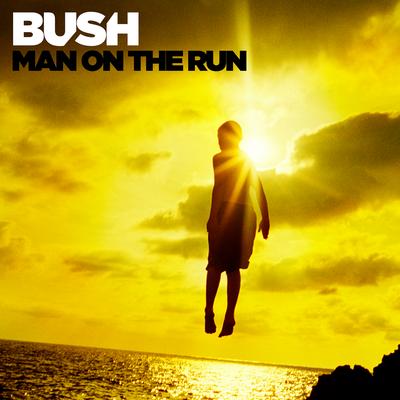 Man on the Run (Deluxe Version)'s cover