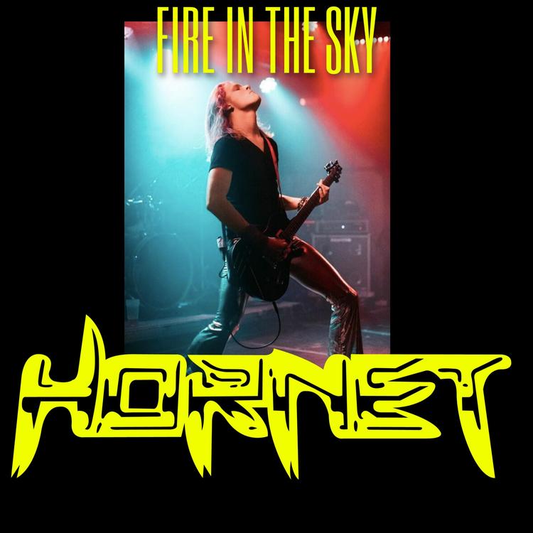 Hornet's avatar image