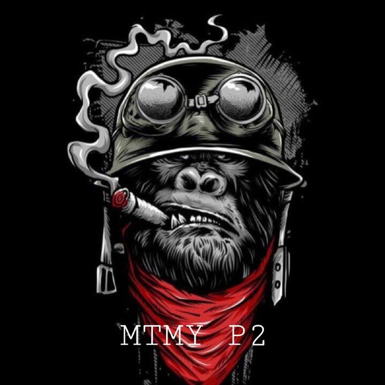 MTMY P2's avatar image