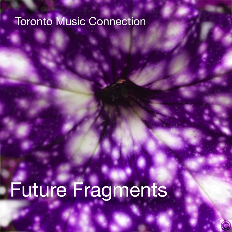 Toronto Music Connection's avatar image