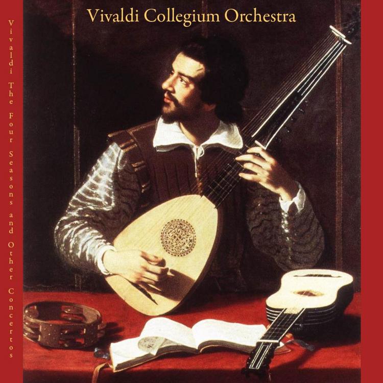 Vivaldi Collegium Orchestra's avatar image