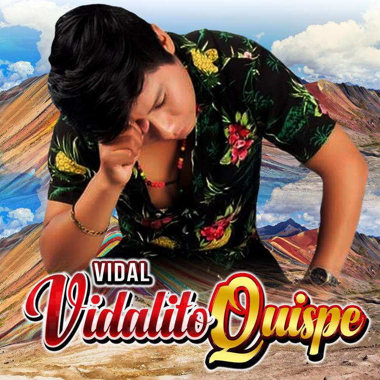 Vidal Vidalito Quispe's avatar image