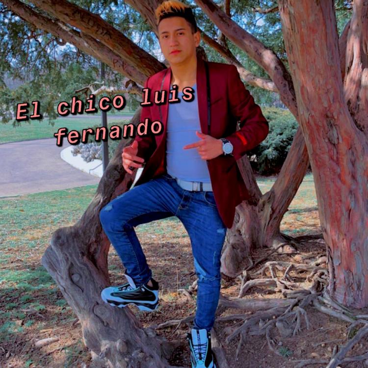 El Chico Luis Fernando's avatar image