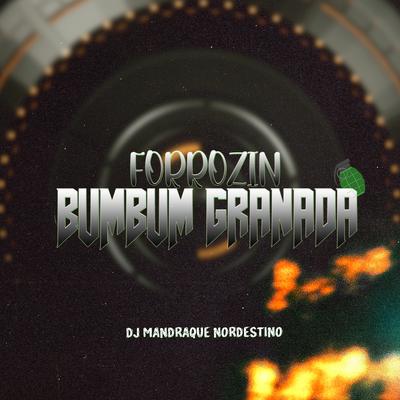 Forrozin Bumbum Granada By Dj Mandrake Nordestino's cover