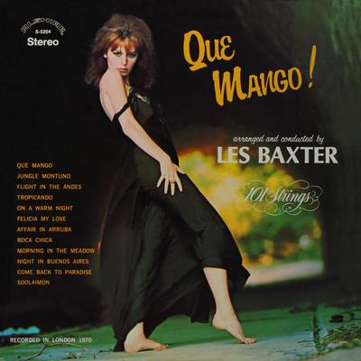 Boca Chica By Les Baxter, 101 Strings Orchestra's cover