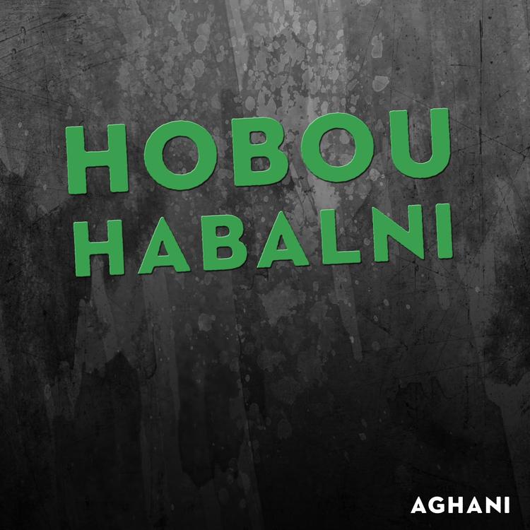 Aghani's avatar image