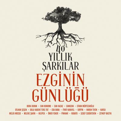 Sevgi Duvarı's cover