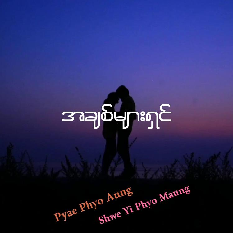Pyae Phyo Aung's avatar image