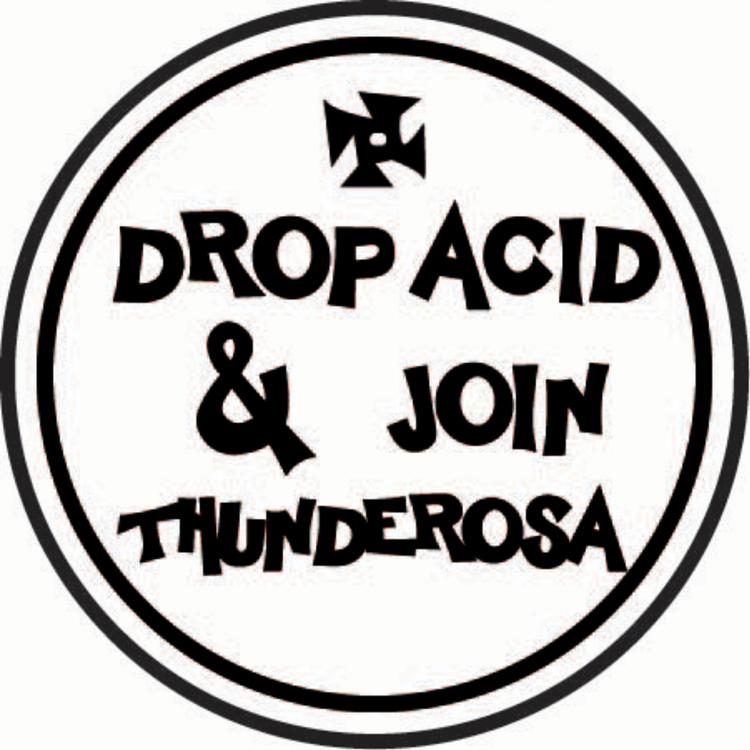 Thunderosa's avatar image