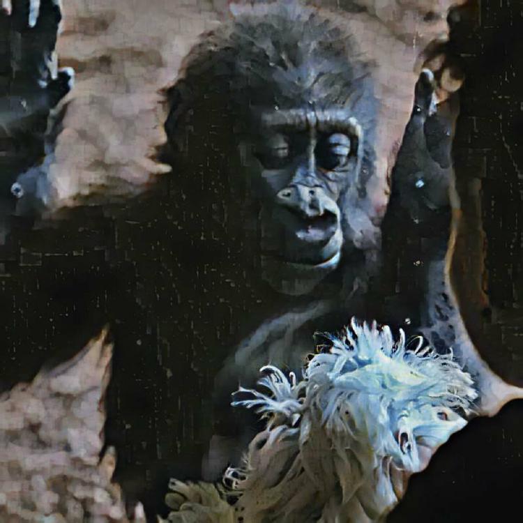 Gorilla Brasil's avatar image