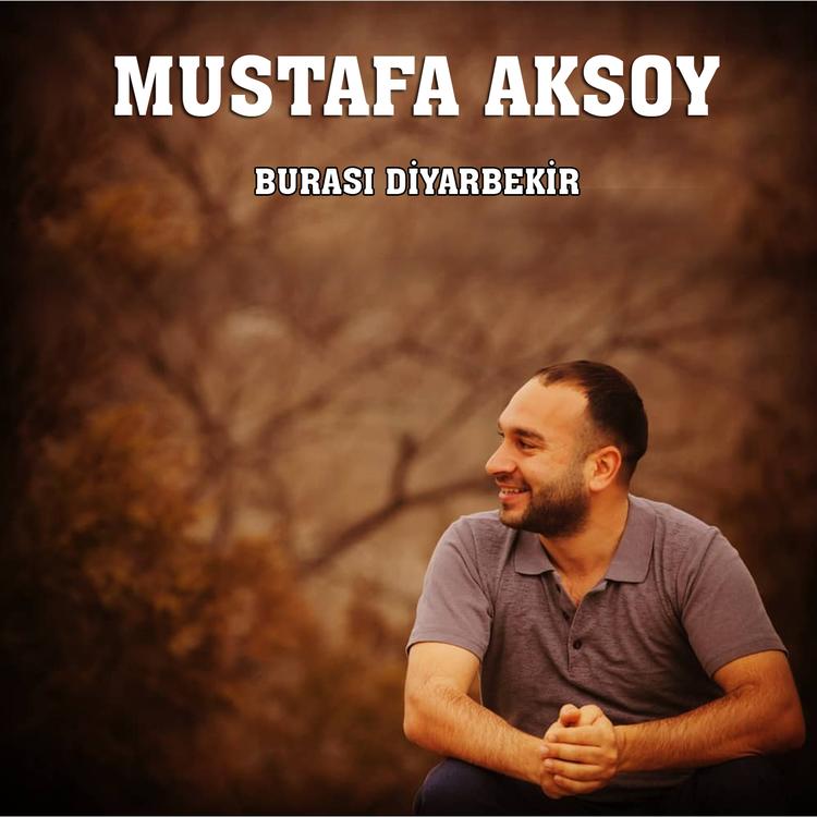 Mustafa Aksoy's avatar image