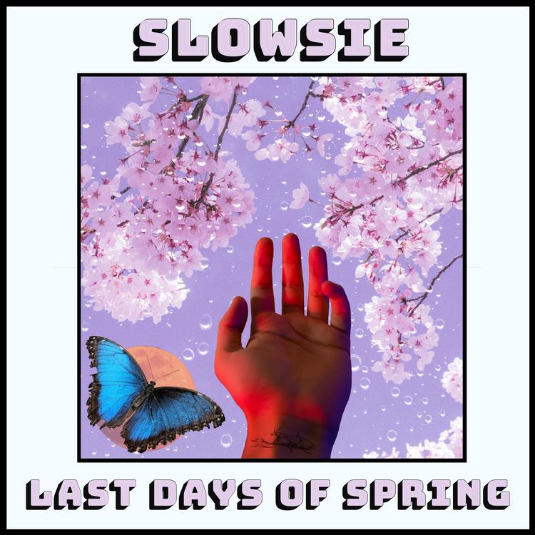 Slowsie's avatar image