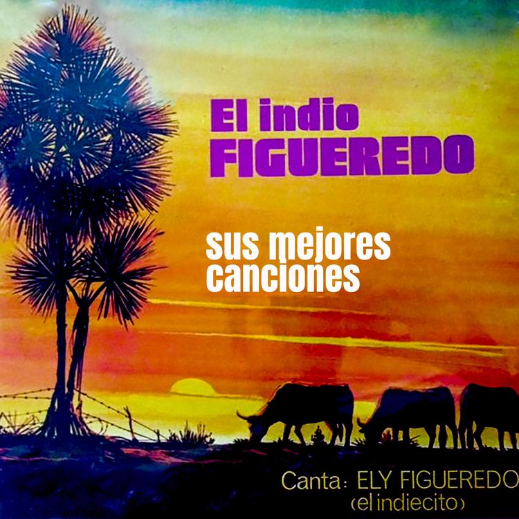 Ignacio "Indio" Figueredo's avatar image